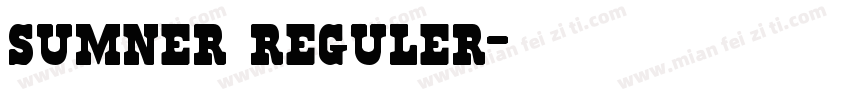 sumner reguler字体转换